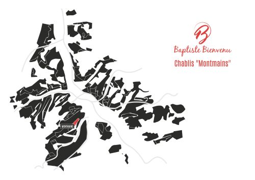 2022 Chablis 1er Cru Montmains - Caves Baptiste Bienvenu Irancy Chablis