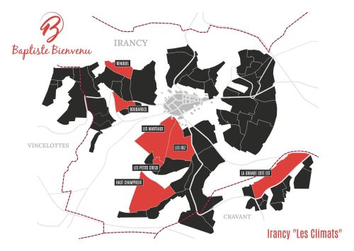 2022 Irancy "Les Climats" - Caves Baptiste Bienvenu Irancy Chablis