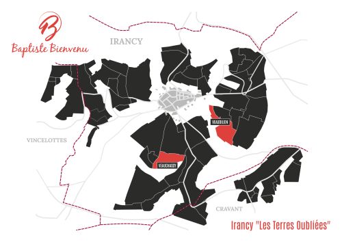 2022 Irancy "Les Terres Oubliées" - Caves Baptiste Bienvenu Irancy Chablis